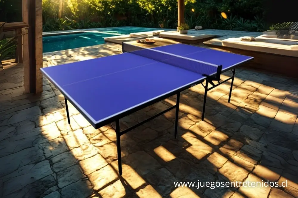 MESA DE PING PONG REGULABLE